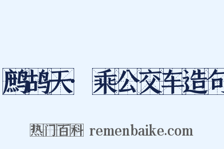 鹧鸪天·乘公交车造句是什么意思的图片